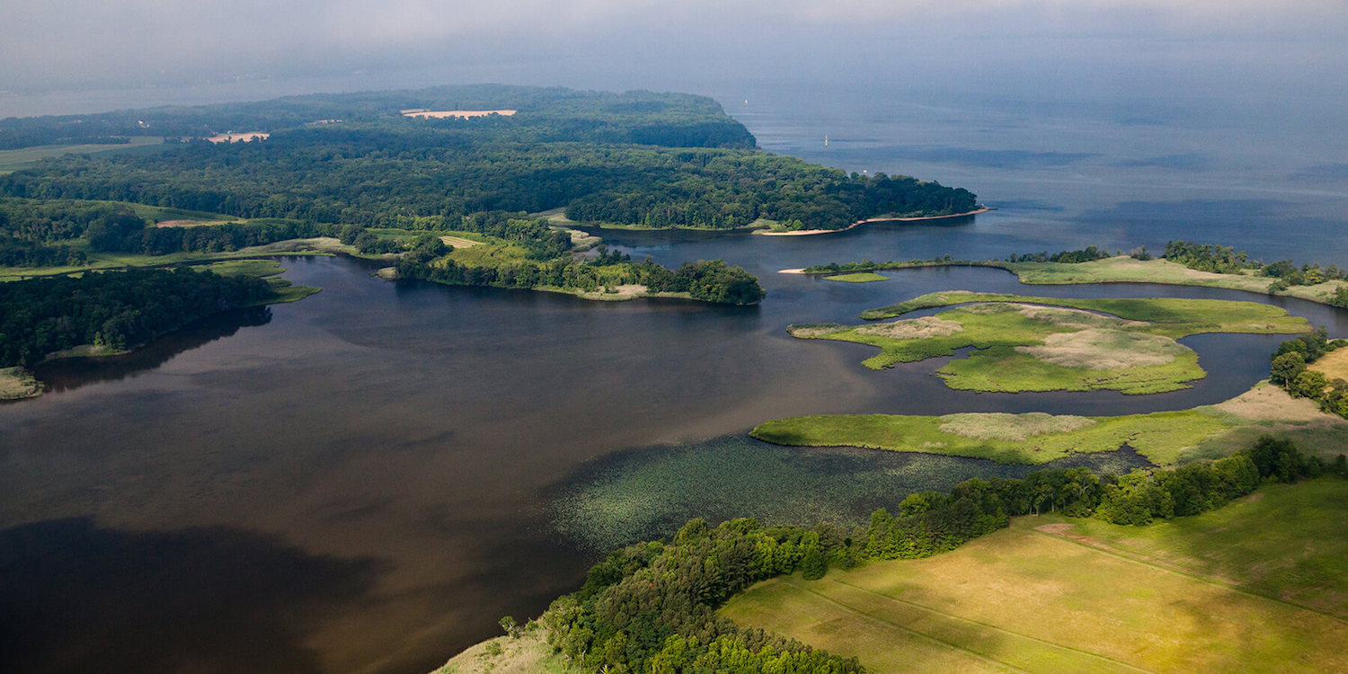 Chesapeake Bay