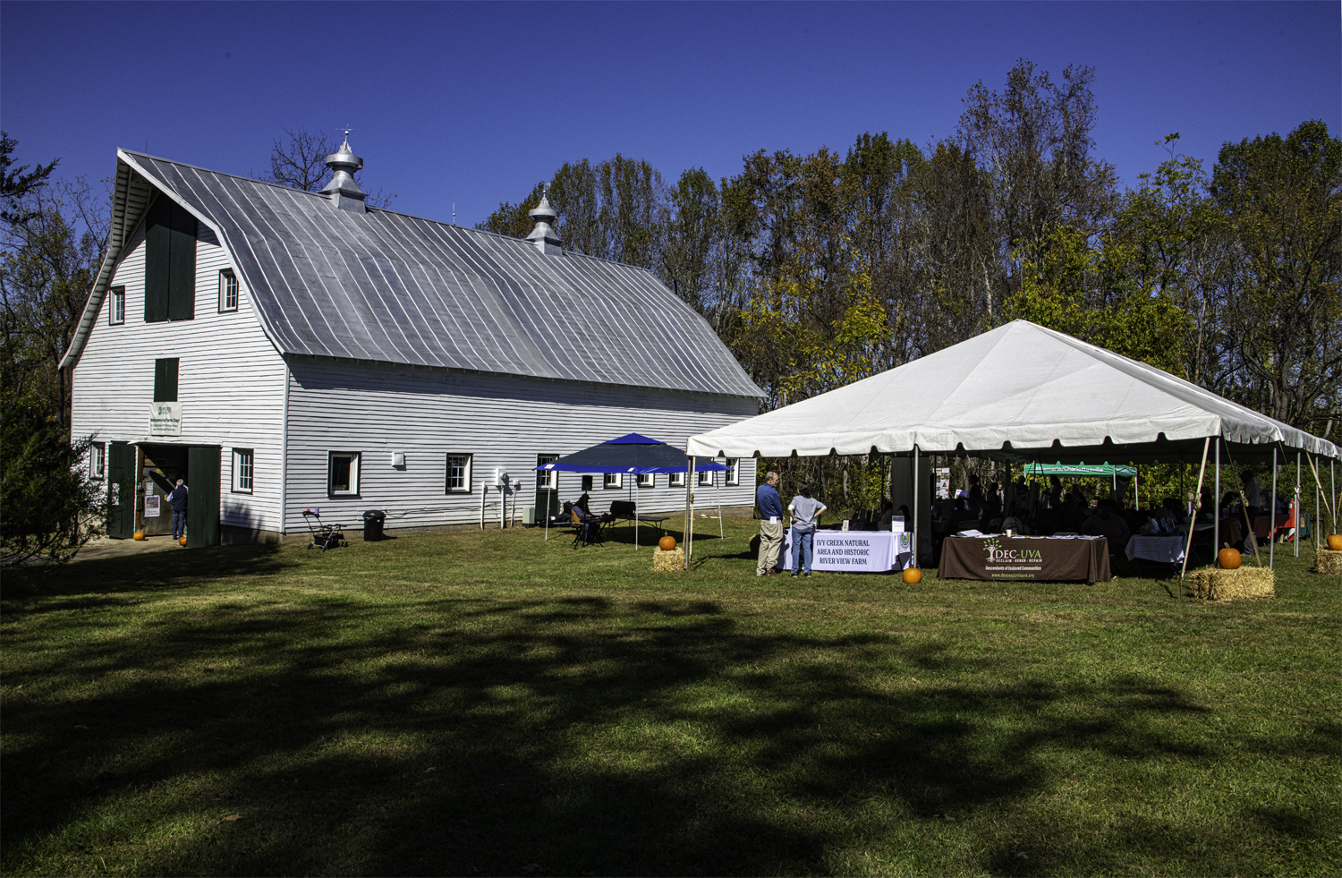 Barn and Tent Farm Day 2024