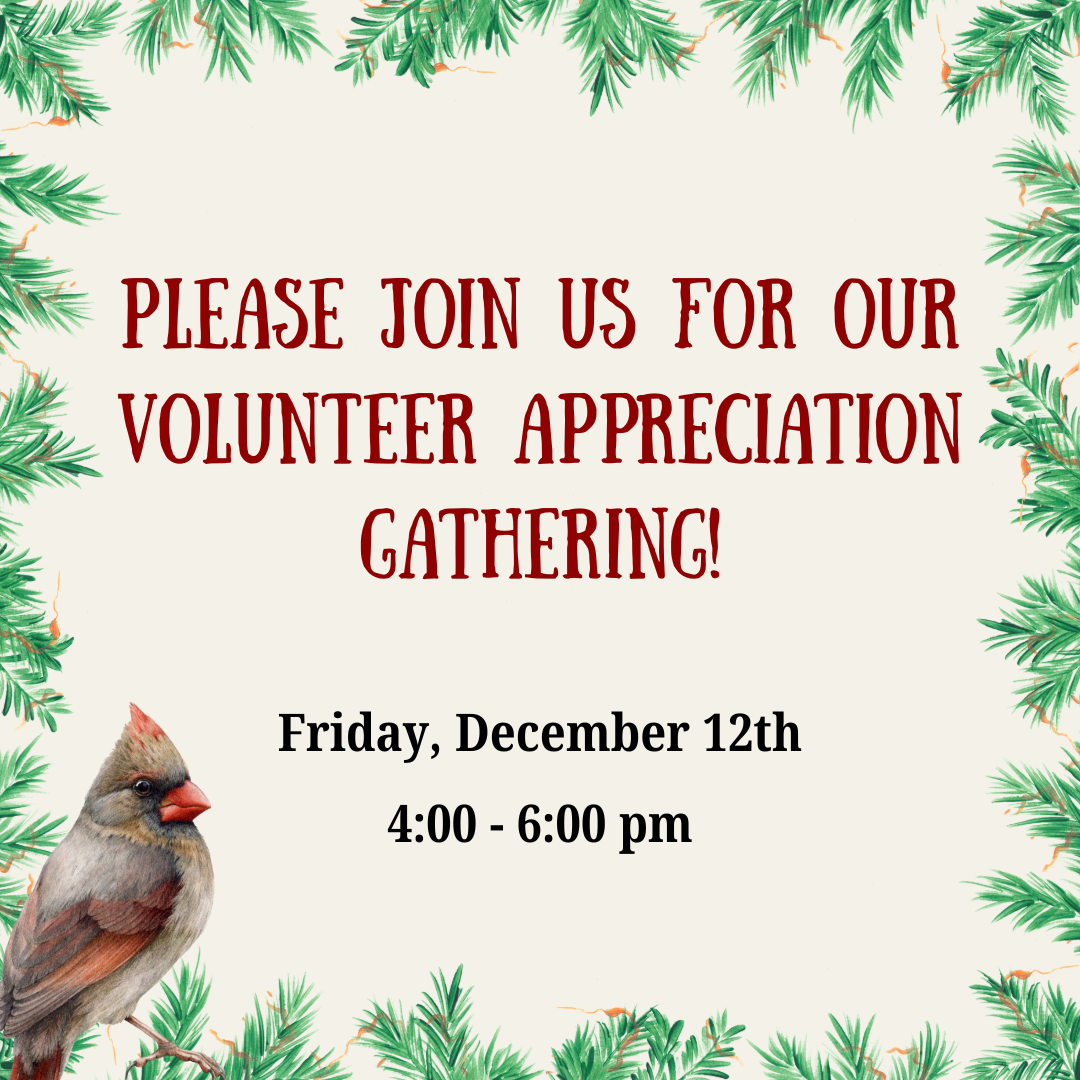 Volunteer Gathering Ad
