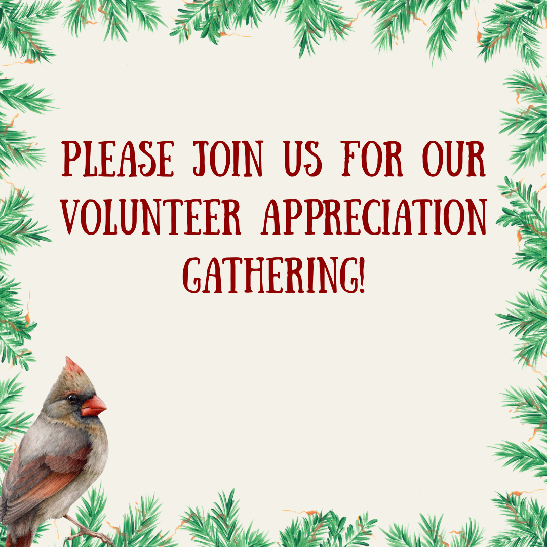 Volunteer Appreciation Invitation Blank