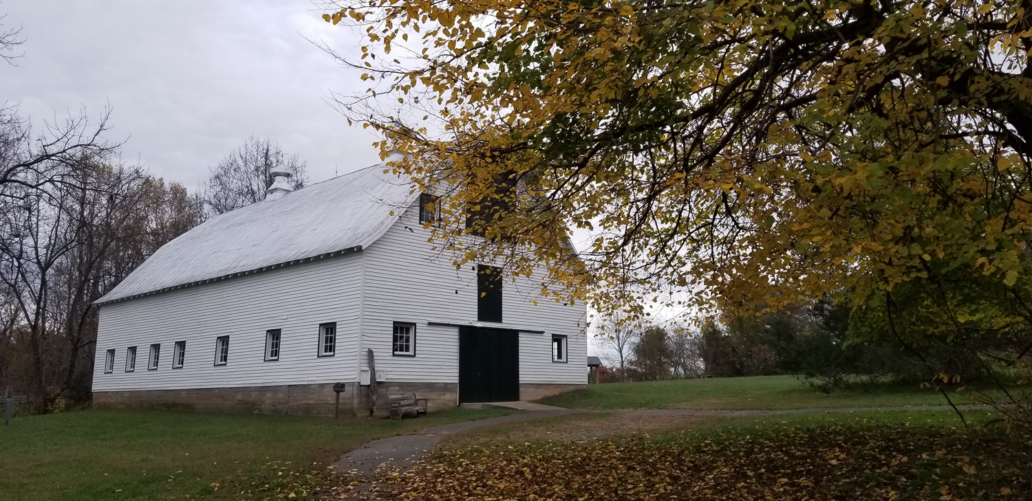 Barn with Fall Tree