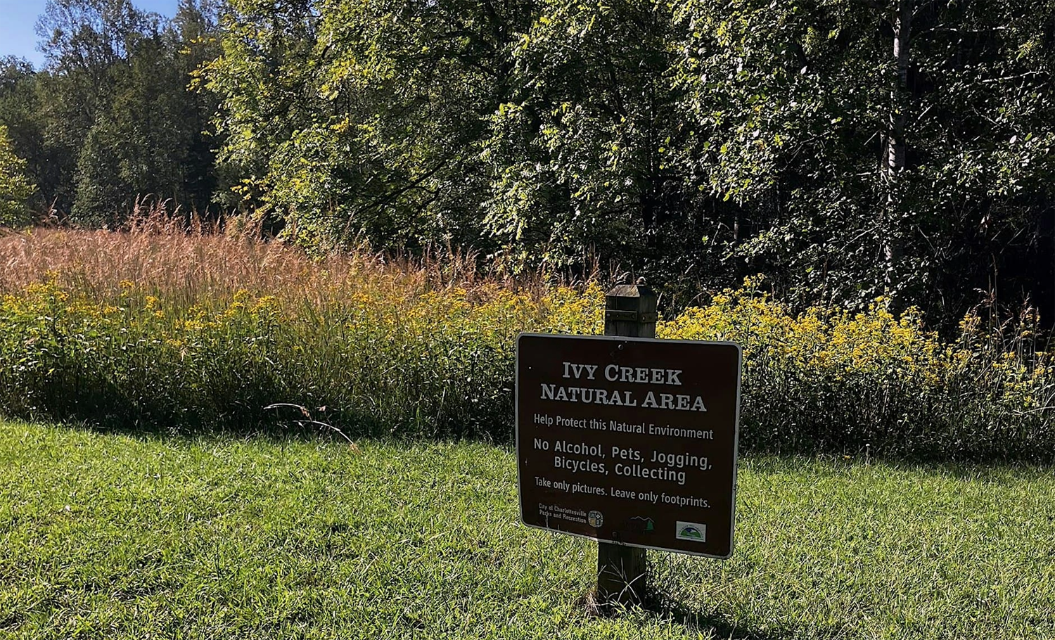 Ivy Creek sign in early fall