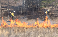 prescribed burn being started