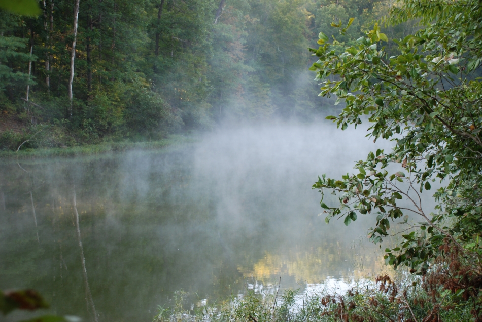 Reservoir in mist